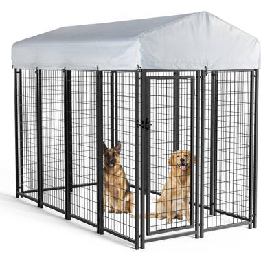 Extra large 2024 dog kennel outdoor